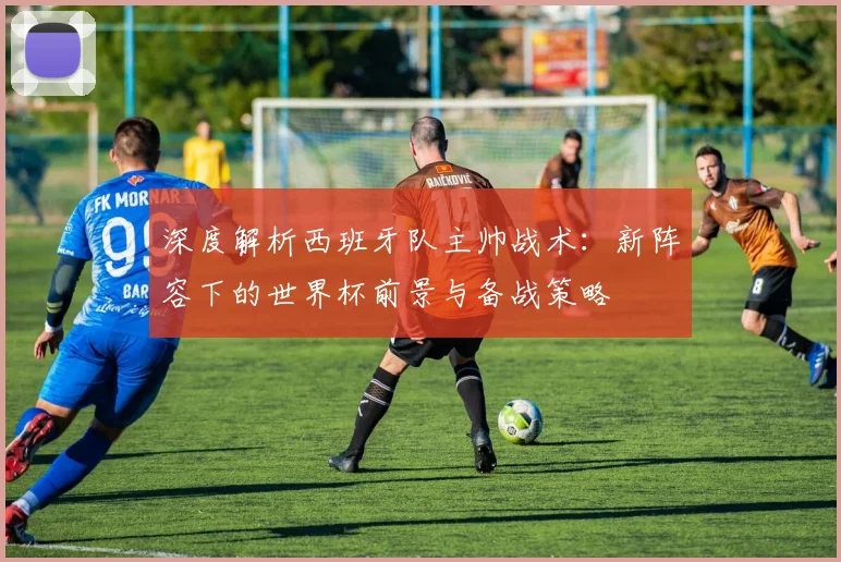 深度解析西班牙队主帅战术:新阵容下的世界杯前景与备战策略